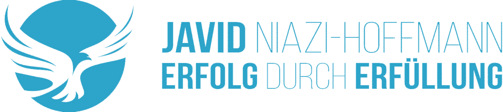 Javid Niazi-Hoffmann – Erfolg durch Erfüllung
